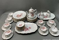 Full set arranged showing all pieces including teapot center front, multiple plates stacked behind, cups and saucers on sides, platters at back, creamer and sugar bowl near platters.