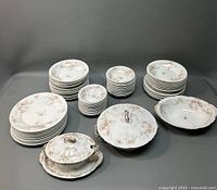 Full set of Theodore Haviland Limoges china pieces arranged showing plates, bowls, and covered serving dishes with floral designs.