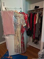 Closet view with pink pleated skirt in garment bag, floral dresses hanging on door