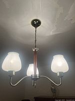 Wide shot showing entire chandelier hanging from ceiling with three glass shades lit.