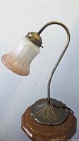 Table desk lamp with bronze metal base shaped like a leaf and curved arm holding frosted art glass shade with peach tones, shown unlit.