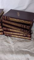 Stack of 12 Walter Scott books lying horizontally showcasing embossed gold floral details on spine and Walter Scott on the cover.