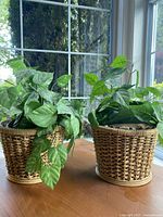 Two silk plants each in woven wicker baskets placed on a wooden surface near a window, showing the lush green artificial leaves and natural woven basket texture.