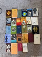 Photo of the entire collection of 26 assorted books laid out on a carpet, showing various titles and covers.