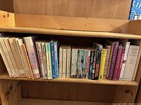 Single shelf displaying all books.