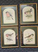 Four framed bird prints arranged together showing full lot contents