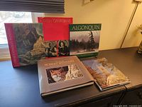 Five hardcover books arranged standing and laying on a dark surface by a window, covers visible with Canadian themes