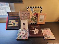 Image showing all 9 books arranged on a table with artful and colorful covers.