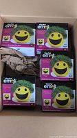 Boxed Chia Pet emoji smiley face planters in original packaging, 5 units visible in a shipping box.