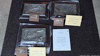 Three mounted pewter sculptures on a carpeted floor with associated documentation and certificates, all arranged in a group photo.