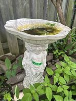 Full view of the resin cherub bird bath placed outdoors, showing the basin filled with algae and debris.