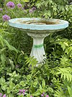 Full side view of bird bath in garden surrounded by greenery, showing fluted pedestal and basin with green residue.