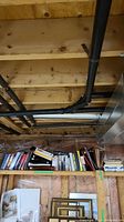 Wide shot of wooden shelves holding assorted books, binders, and paper supplies in a basement location, showing storage space and pipes overhead.