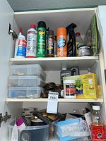 Photo of upper cupboard showing various household cleaning supplies, insect control sprays, lubricants, and plastic containers with screws and hooks.