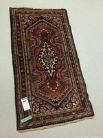 Full view of rug laid flat showing overall pattern and border