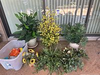 Overview of three potted faux plants, loose greenery, sunflower stems and tote with sprays
