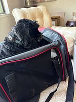 Side view of grey pet carrier with black mesh vent and red trim, small dog inside looking out.