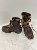 Pair of boots, front and side angles showing overall condition and leather finish
