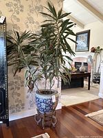 Wide view showing the full Dracaena plant with striped leaves in a blue and white ceramic pot on a wooden stand, set against floral wallpaper and hardwood floor.