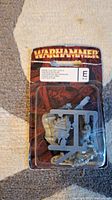 Front view of unopened blister pack containing a metal Warhammer Empire Elector Counts miniature with attached sprue and clear plastic cover. Packaging shows wear.