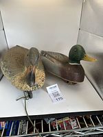 Two plastic duck decoys, one male and one female, shown from front and side views on a white shelf with minor surface wear visible.