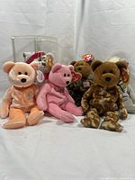 Group shot of all six Ty Beanie Babies bears
