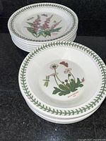 Stack of dinner plates and pasta bowls showing botanical flower and butterfly designs with green leaf border