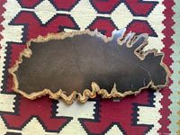 Top view of entire petrified wood slab on patterned background