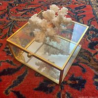 Glass display box showing brass frame, coral inside