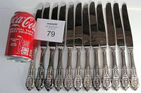 Twelve knives laid side by side with scale can showing size