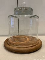 glass dome on wooden base, frontal view