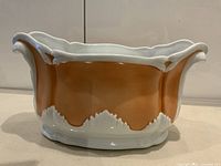 Full view of Mottahedeh porcelain jardiniere showing shape, colors, rim, and base.