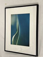 View of full framed photographic print showing the abstract close-up of agave leaves in blue and green