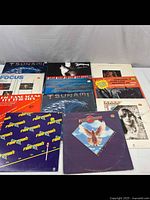 Top-down view of 10 vinyl records arranged on white surface showing a mix of album covers including Peter Frampton, Whitesnake, Tsunami and Focus.