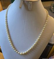 Full view of the vintage pearl necklace laid out on a display bust, showing the pearl strand and overall length.
