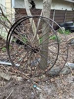 Front view of one large antique metal wheel leaning against a tree, showing rust and peeling paint