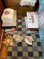 Five boxes stacked with four large individual sea shells in front, showing various types and sizes in a room setting