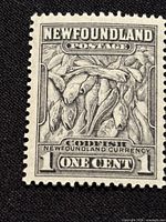 Close-up image of the 1932 Newfoundland one cent codfish stamp showing detailed fish engraving and inscriptions.