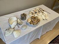 Top view of assortment of shells on a white tablecloth showing various large scallop shells, brown spiked shells arranged in a holder, and several other sea shells including small round shells in a glass container.