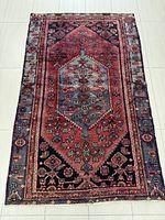 Full top-down view of entire rug laid flat on floor showing overall pattern and color distribution