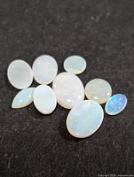 Nine genuine opal stones laid out on black background showing variety in size and opalescence