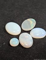 Five genuine opal cabochon gemstones with iridescent play of color, displayed on a black background.