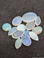 Top view of fourteen small genuine opal gemstones displaying color play and various shapes on a black surface.