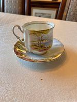 Close-up of the teacup resting on the matching saucer on a white textured surface showing scenic cliffs design and gold trim.