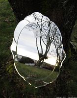 Front view of the large decorative wall mirror showing its scalloped edges and reflective surface.