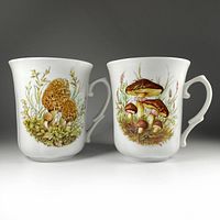 Pair of vintage 1970s Crown Regent porcelain coffee mugs featuring detailed mushroom and botanical illustrations on the sides against white background.
