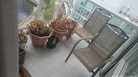Photo showing two patio chairs with metal frames and beige mesh fabric on a balcony, along with seven assorted planters containing dried plants and soil.