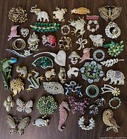 Full overview of 41 brooches arranged on dark wood surface