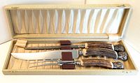 Full view of the set in its lined storage case showing knife, fork, and sharpening steel with stag horn handles and metal collars.