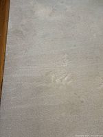 Close-up view of cream-coloured carpet texture and condition showing subtle shading from use.